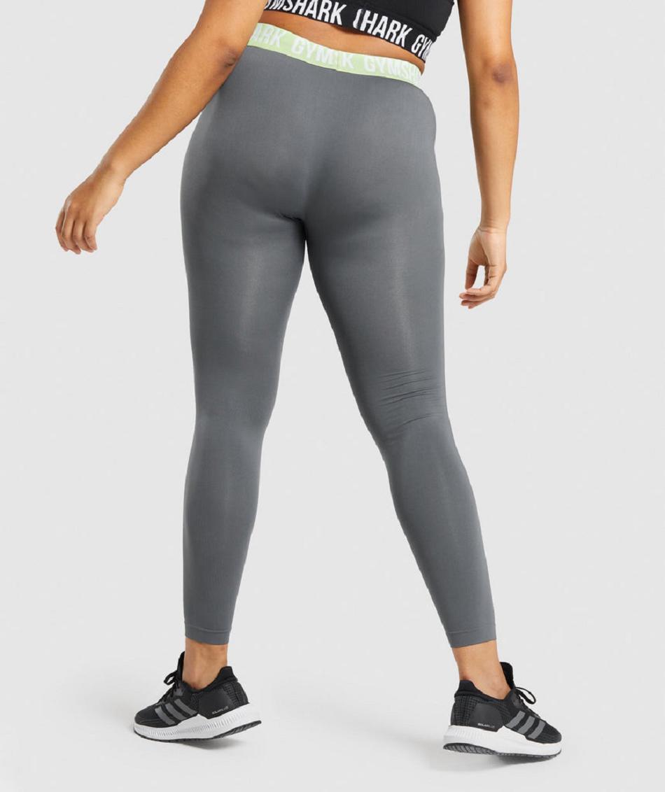 Gymshark Fit Seamless Ženske Tajice Sive | HR 3977SGL